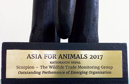 Animals Asia’s Indonesian partner (Scorpion) wins prestigious award for uncovering animal abuse (December 14, 2017)