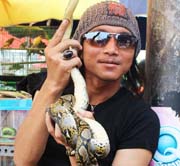 The Beauty of Python reticulatus Attracts Visitors at Jatinegara Wildlife Market (September 8, 2015)