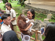 Orangutan Shows a Public Risk – and Must be Stopped Now (September 18, 2015)