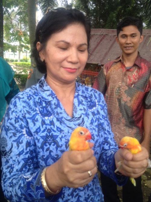 BKSDA North Sumatra Confiscates Over 400 Birds in Kualanamo International Airport (May 17, 2016)