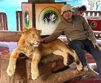 No More Direct Contact or Interaction between Visitors and the Big Cats During the Photography Sessions in Taman Safari Indonesia Cisarua - Bogor (May 11, 016)