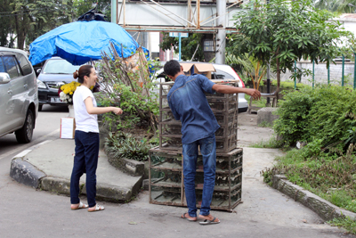 01_Illegal bird sale at Jalan Imam Bonjol Medan