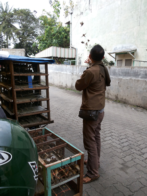 Jalan Irian Medan copy