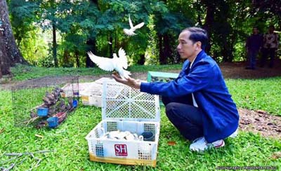 01_President Jokowi melepaskan burung_1