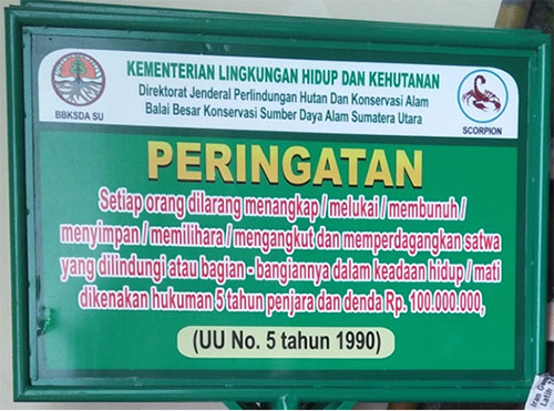 Awareness programme to prevent wildlife crimes in North Sumatra (December 12, 2017)