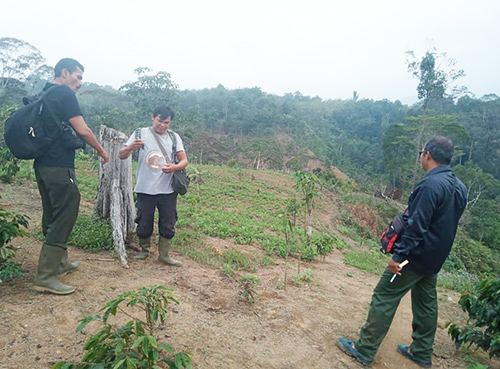 Joint Patrol for Protection of Tapanuli Orangutan in Arse Nauli (October 15, 2019)