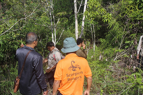 Joint Patrol to Protect Tapanuli Orangutan in Batangtoru Ecosystem (March 30, 2019)