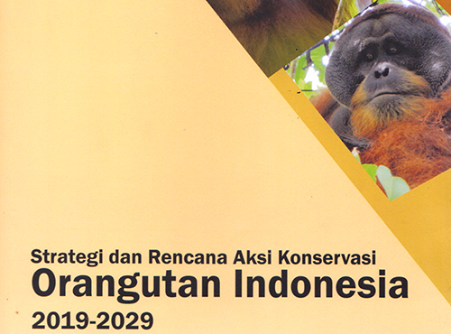 Document of Strategy and Action Plan for Indonesian Orangutan Conservation 2019-2029 is Launched (August 12, 2019)  