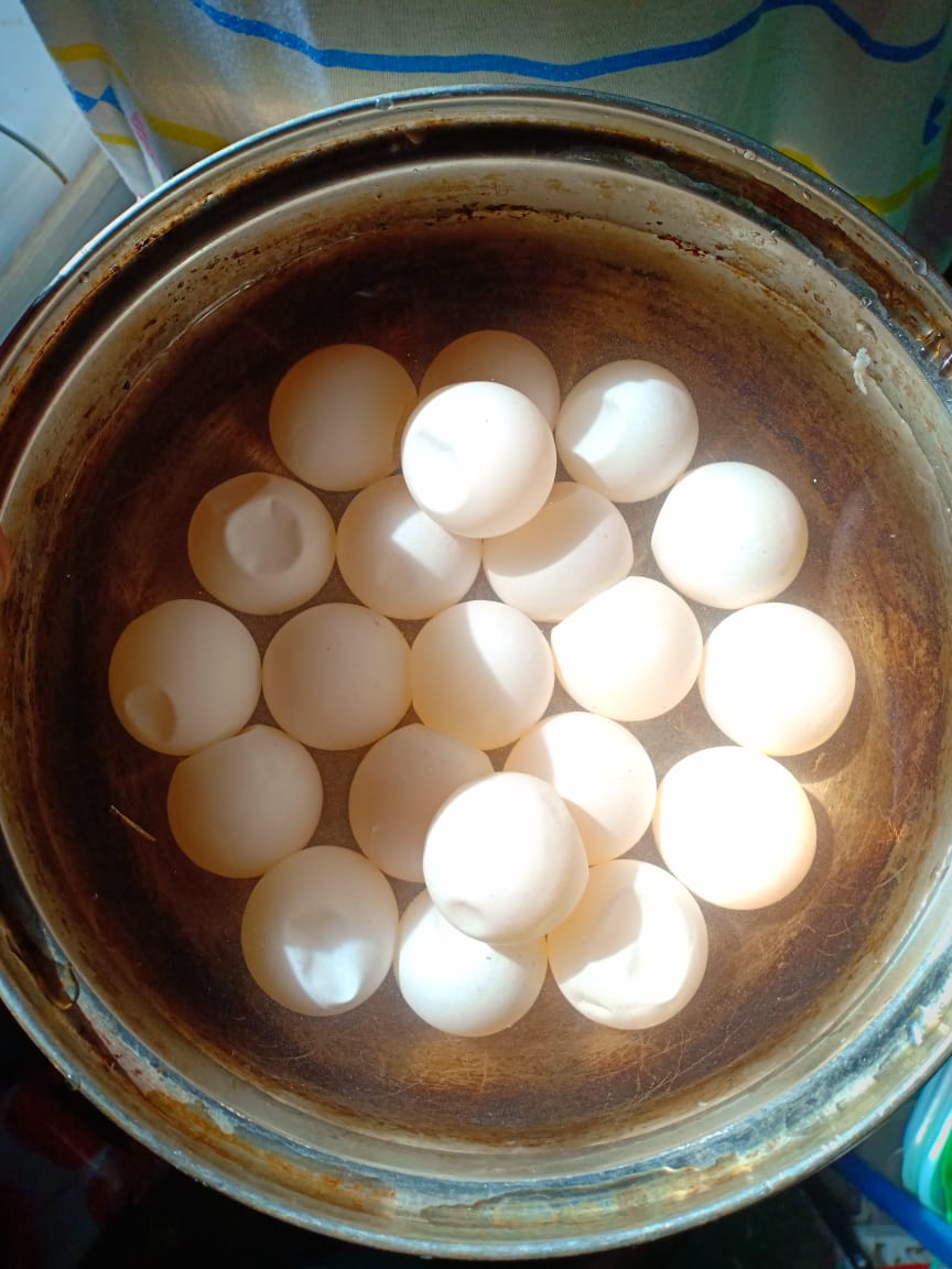 Acehnese NGO is Concerned about Illegal Collection of Turtle Eggs from the Wild (June 29, 2019)