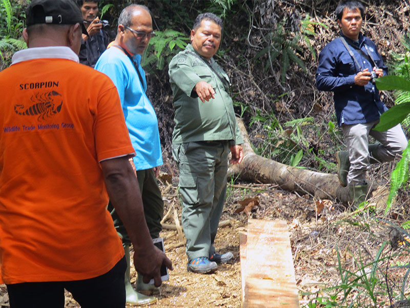 BBKSDA-Scorpion Joint Patrol at Luat Lombang Village, South Tapanuli (February 14, 2020)