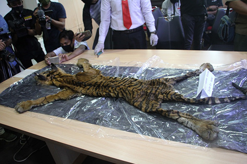 Aceh Provincial Police Arrests Four Illegal Wildlife Traders (June 22, 2020)