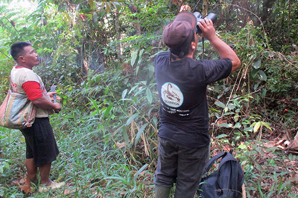 Preventing Tapanuli orangutan capture in Batu Satail Village (June 30, 2020)