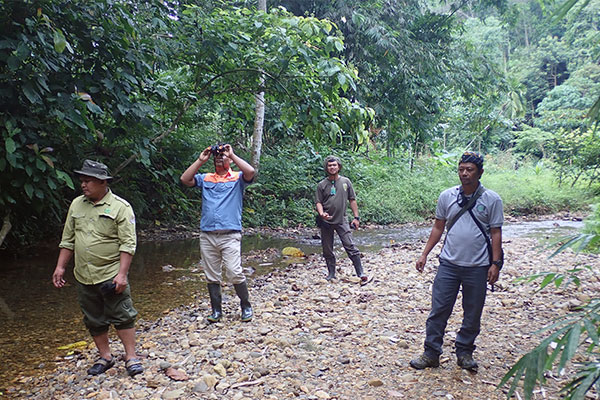 The suffering of three wild animals in Kutambaru (Marike) were discovered while Joint Patrol with Gunung Leuser N.P Authority (July 09, 2020)