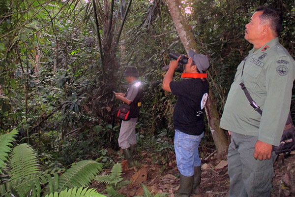 Joint Patrol to Monitor Illegal Poachers in Bulu Payung, Sipirok, North Sumatra (July 11, 2020)