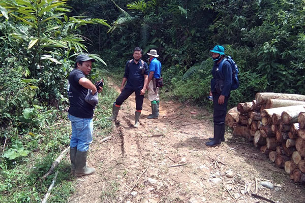 Joint Patrol in Bulu Mario: Examination of Animal Traps (October 21, 2020)