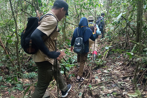 Joint Patrol in Marancar Godang, Batangtoru Ecosystem, Sumatra (April 08, 2021)