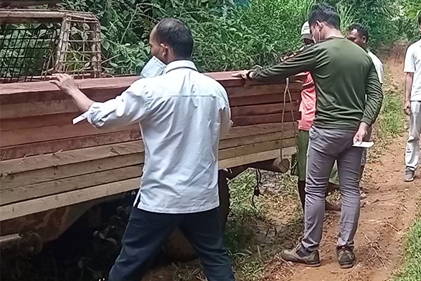 Five illegal logging suspects were arrested by officers in Sugi Village, Marancar (June 30, 2021)