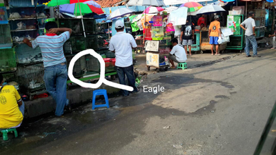 PR L jkt EAGLE Jatinegara copy