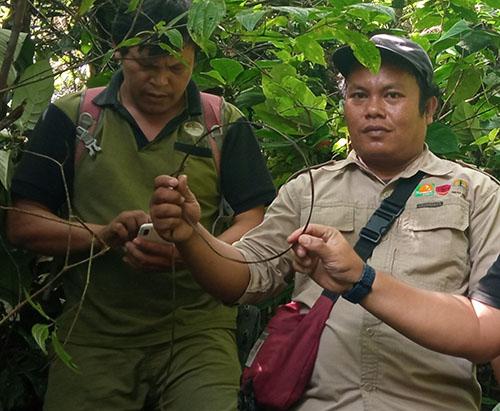 A Joint Patrol Discover Illegal Encroachment in Dolok Lubuk Raya Nature Reserve, Sumatra (April 29, 2023)