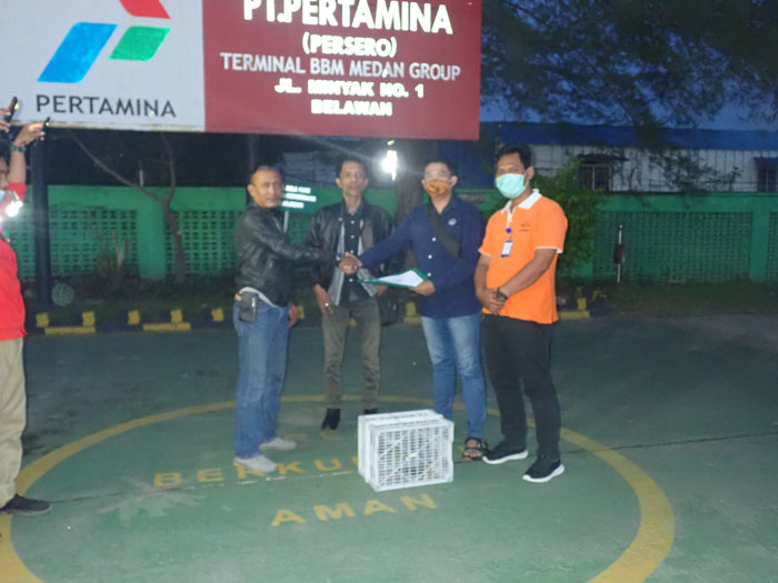 Accipiter virgatus Eagle is Successfully Rescued from PT Pertamina Complex, Medan Belawan (Desember 29, 2020) 